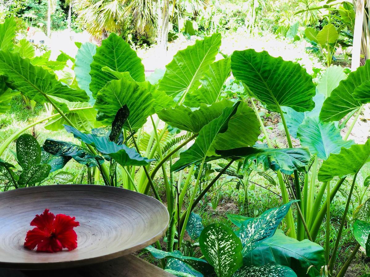 גרנד אנס Bliss Hotel Praslin מראה חיצוני תמונה